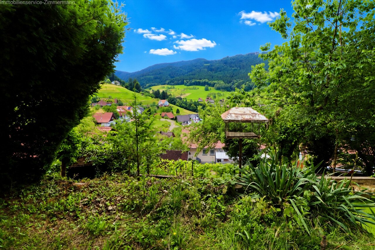 Sanierungsbedürftiges Wohnhaus mit großem Potential in herrlicher Waldrandlage von Seebach zu verkaufen.