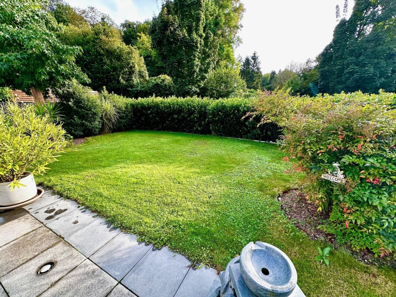 Garten - Garten -